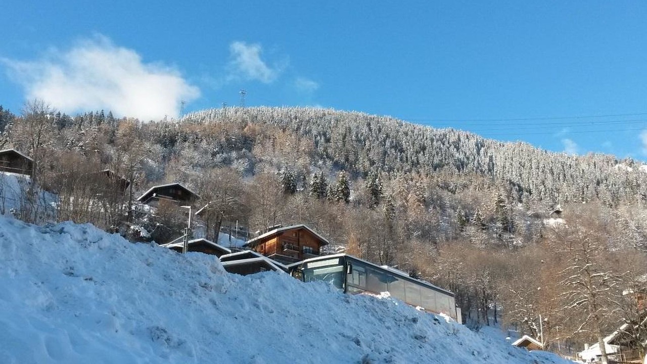Photo of Others in Fiesch