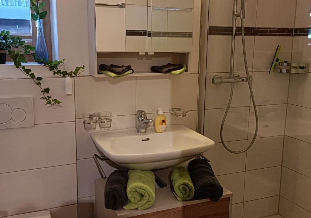 Photo of Bathroom in Fiesch