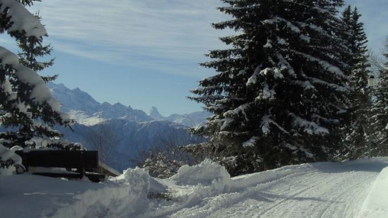 Photo of Others in Riederalp