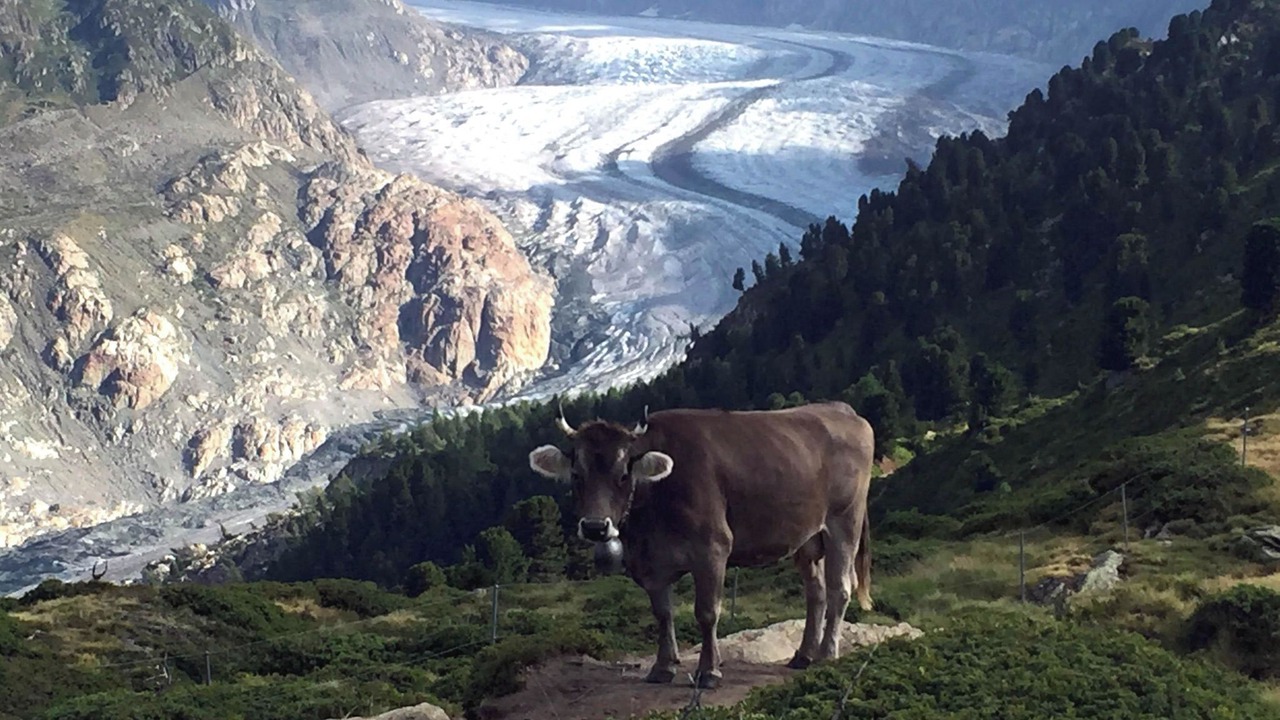 Photo of Others in Riederalp
