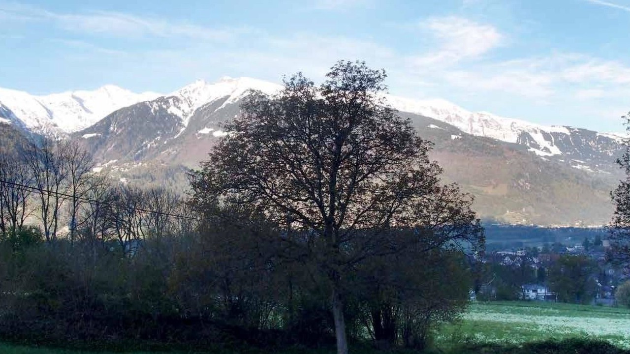 Photo of Others in Maienfeld