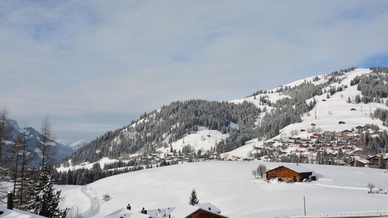 Photo of Others in Schoenried