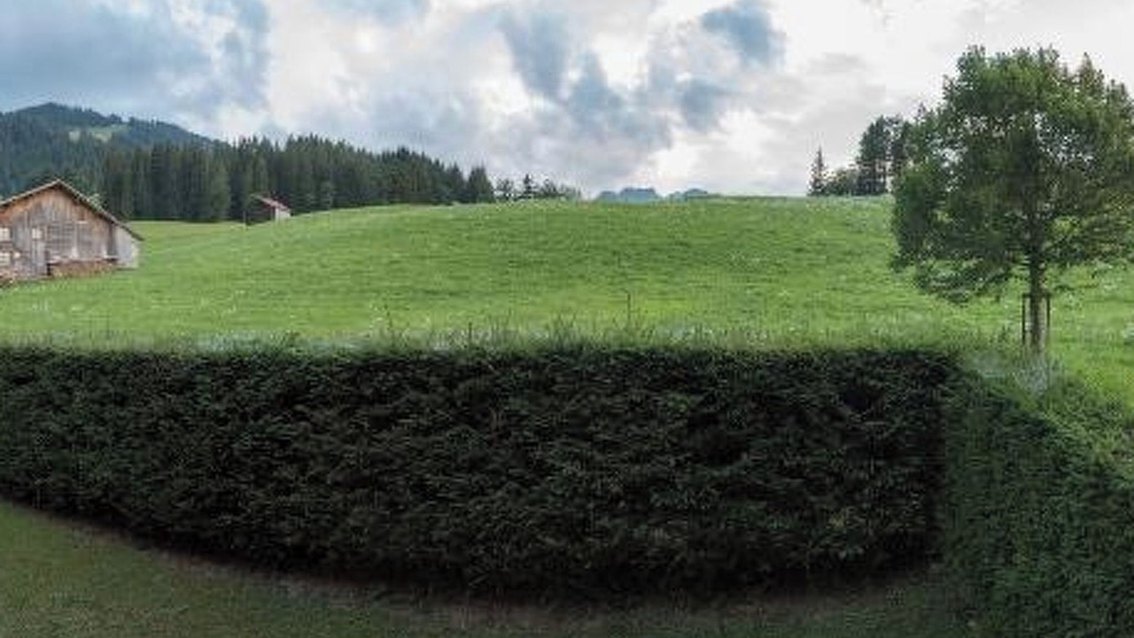 Photo of Others in Gstaad