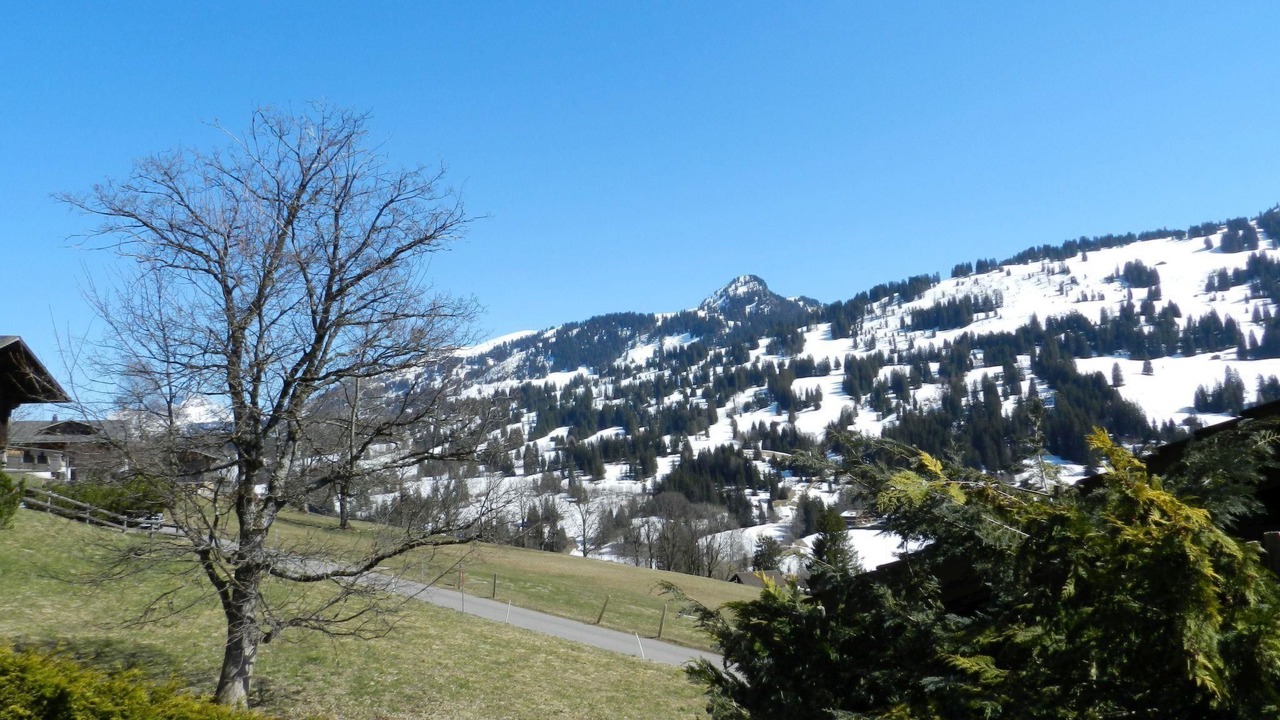 Photo of Others in Schoenried