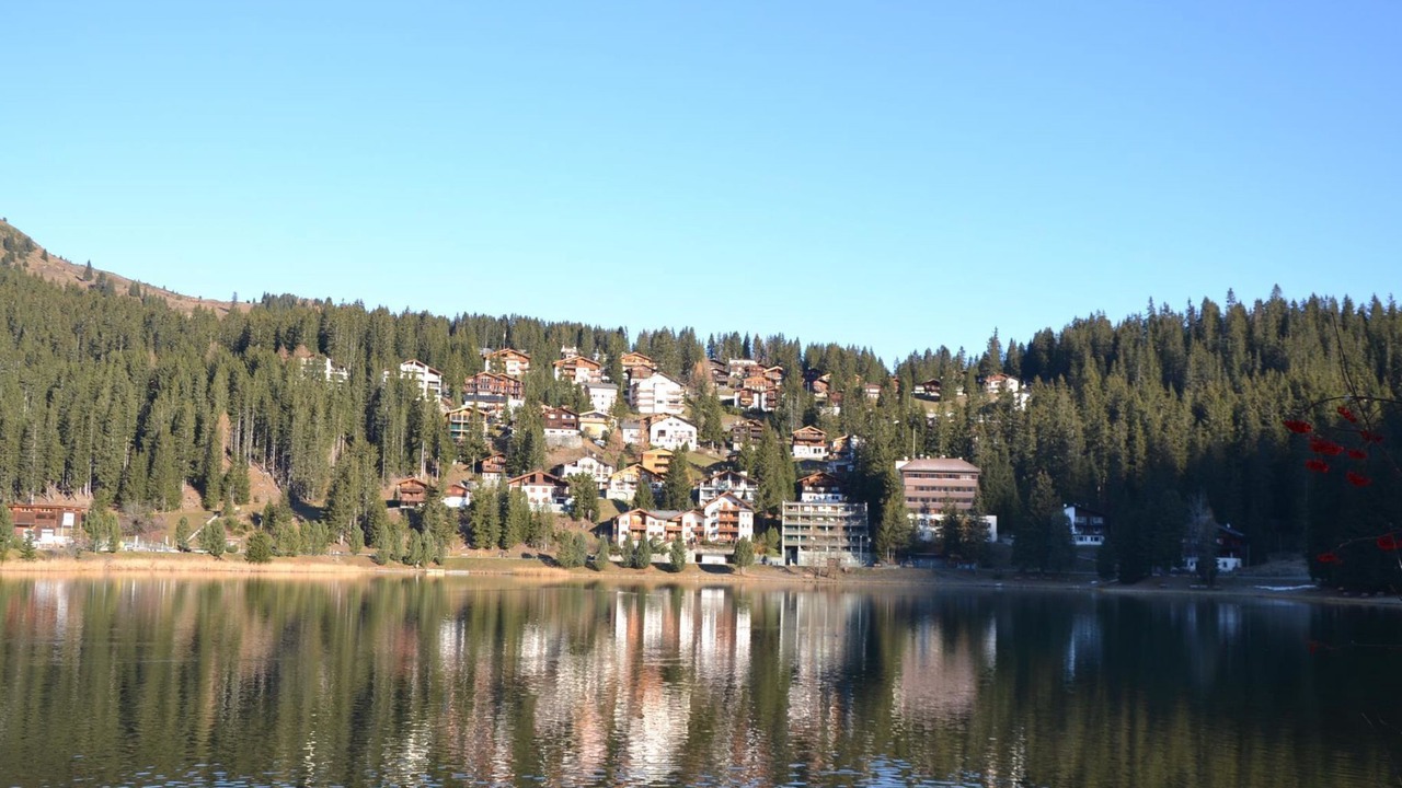 Photo of Others in Arosa