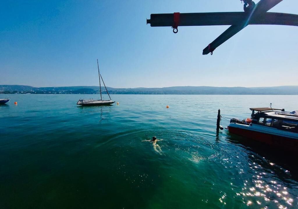 Photo of Others in Horgen District