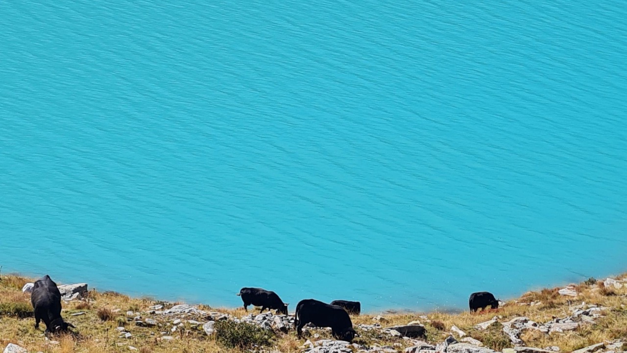 Photo of Others in Saas Grund