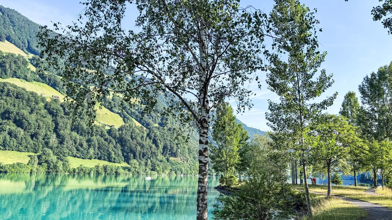 Photo of Others in Lungern