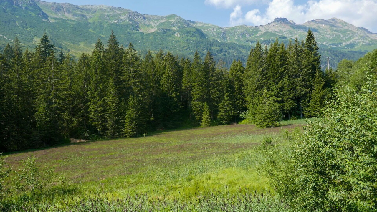 Photo of Others in Olivone