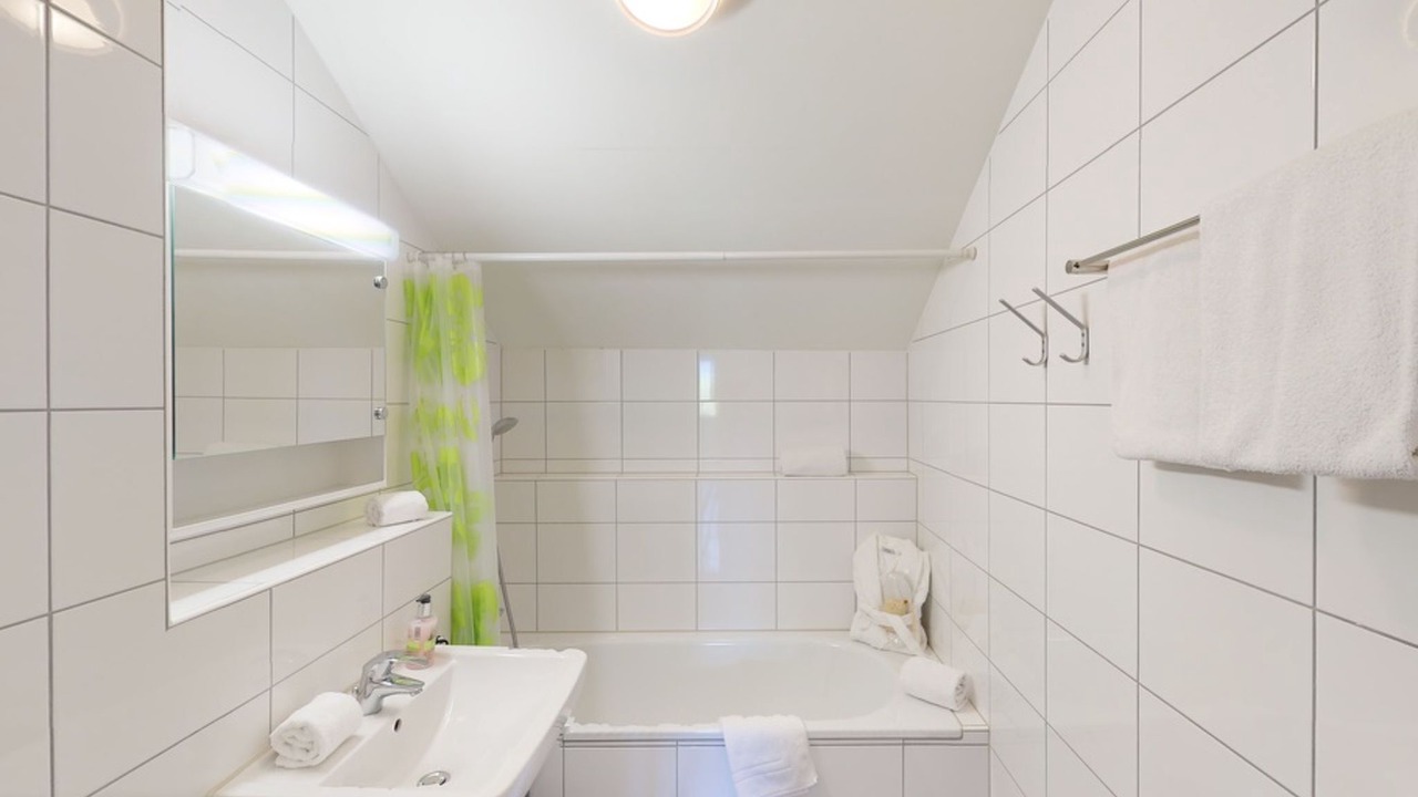 Photo of Bathroom in Unterterzen