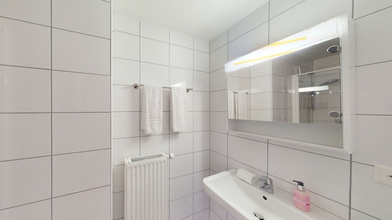 Photo of Bathroom in Unterterzen
