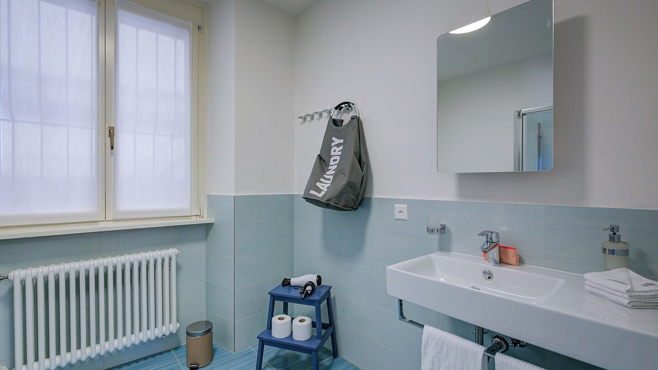 Photo of Bathroom in Melide