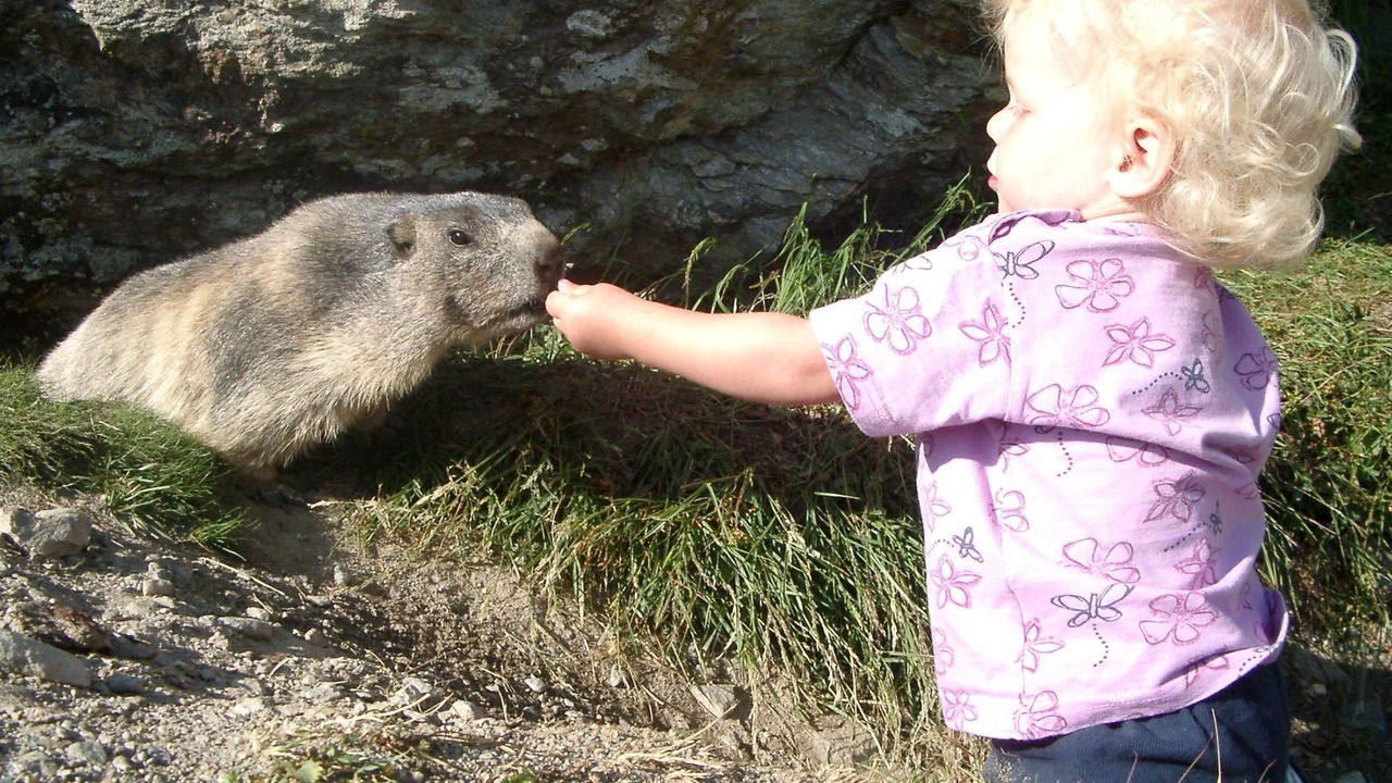 Photo of Others in Saas Grund