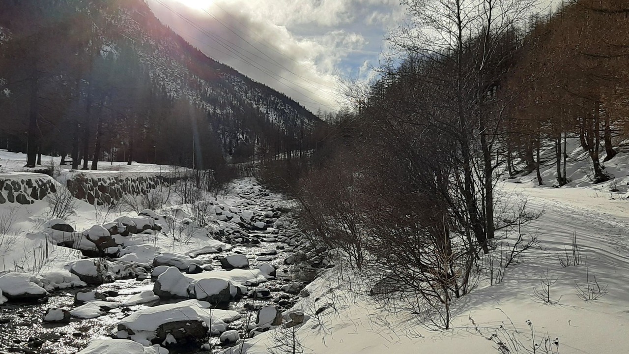 Photo of Others in Saas Almagell