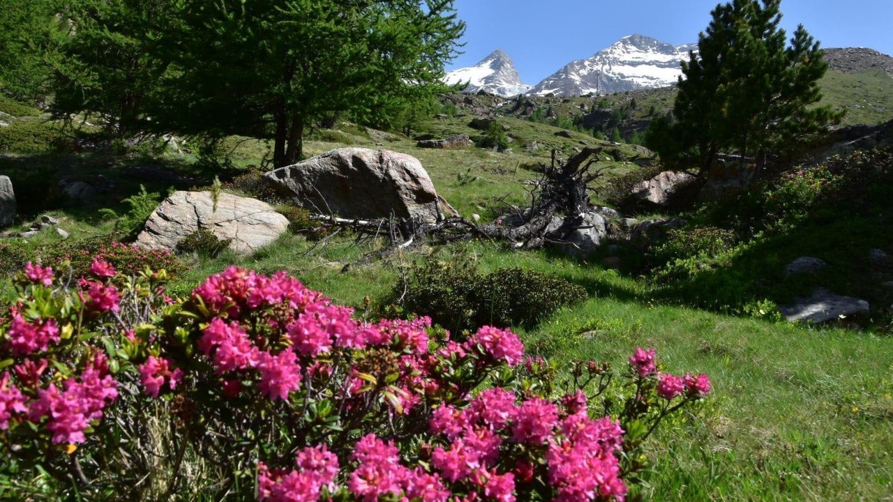 Photo of Others in Saas Grund