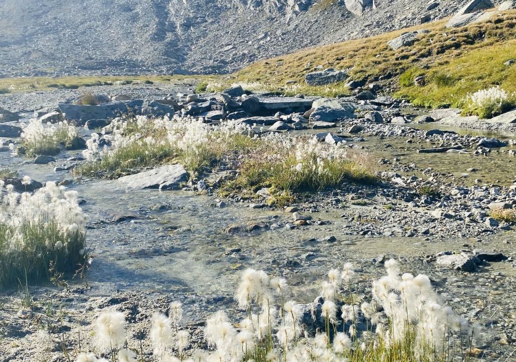 Photo of Others in Saas Grund
