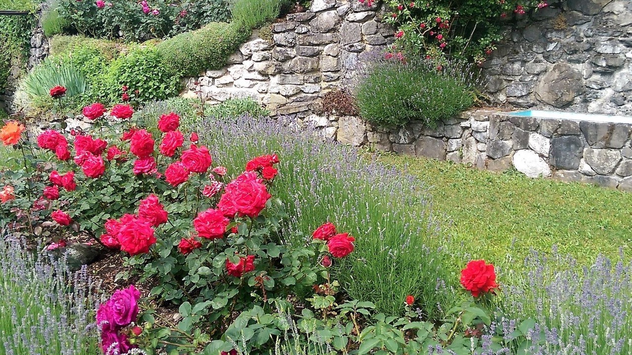 Photo of Others in Niederried bei Interlaken