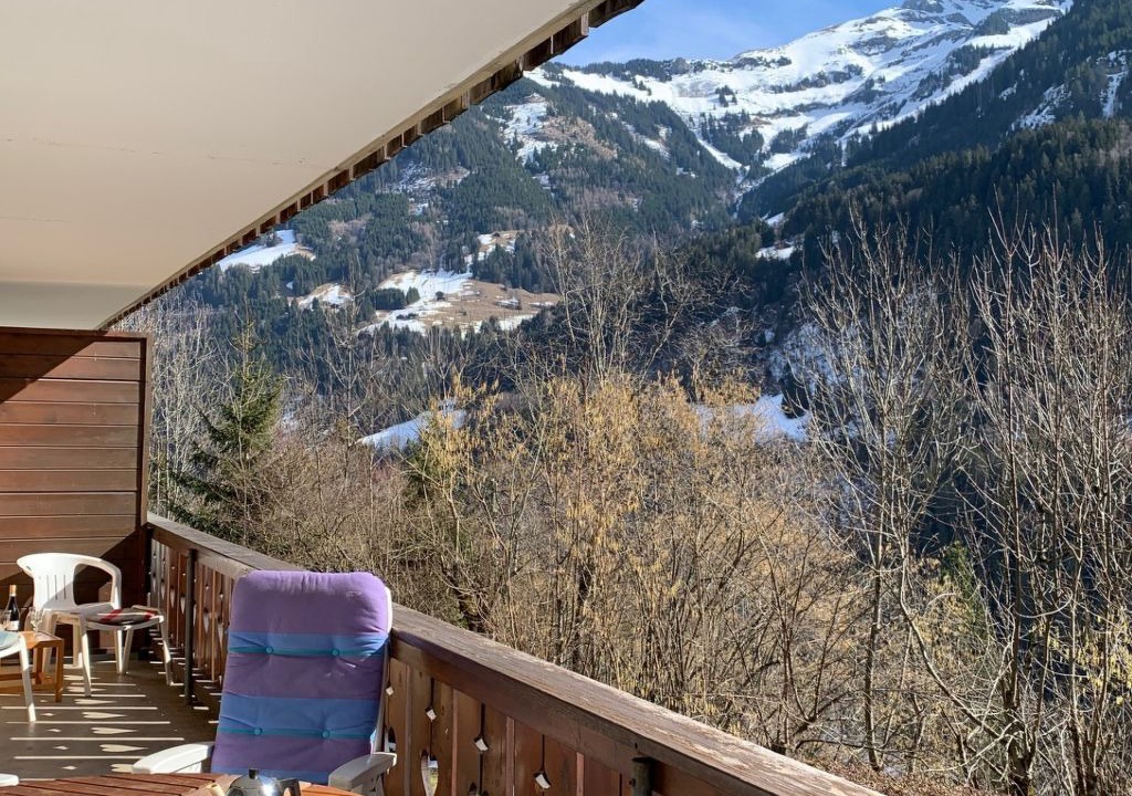 Photo of Others in Champery