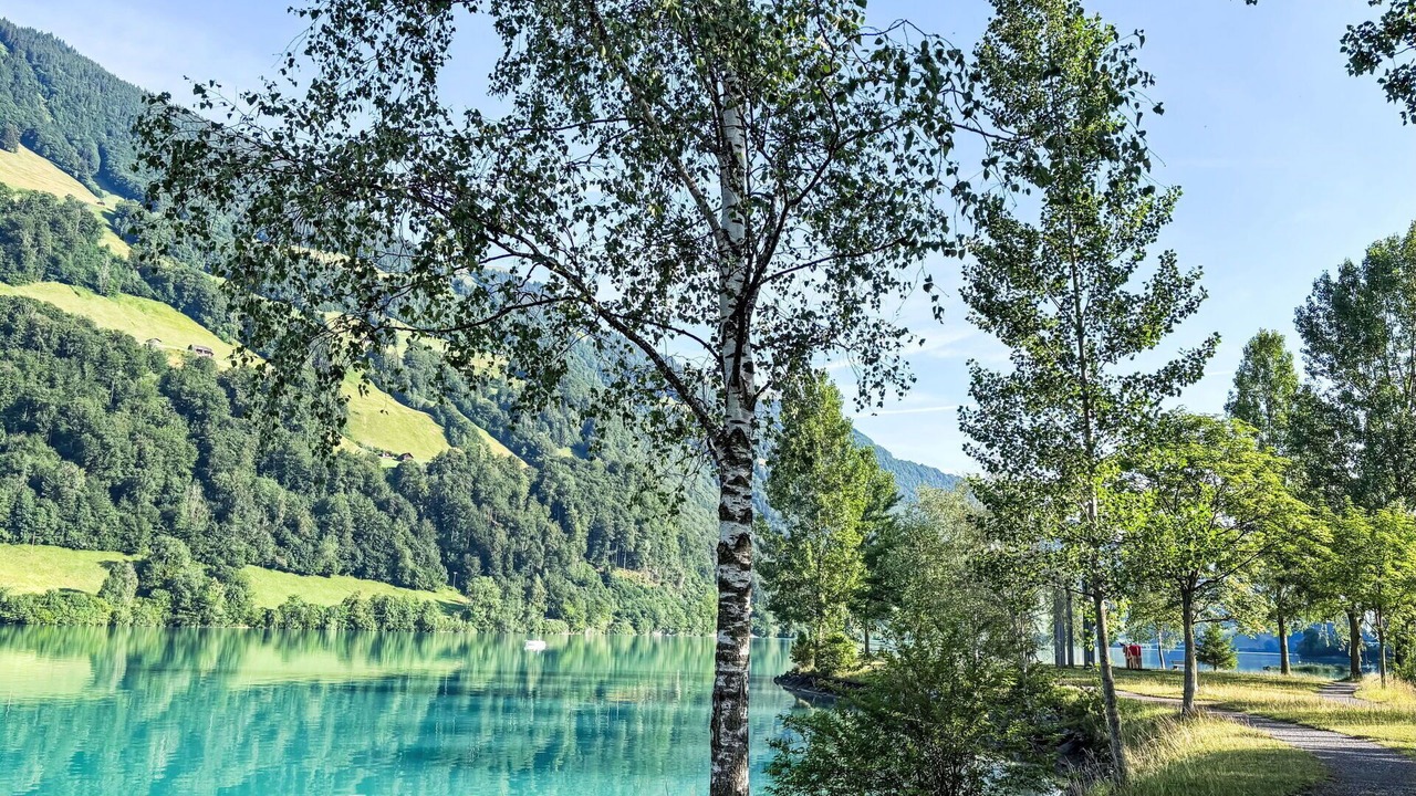 Photo of Others in Lungern