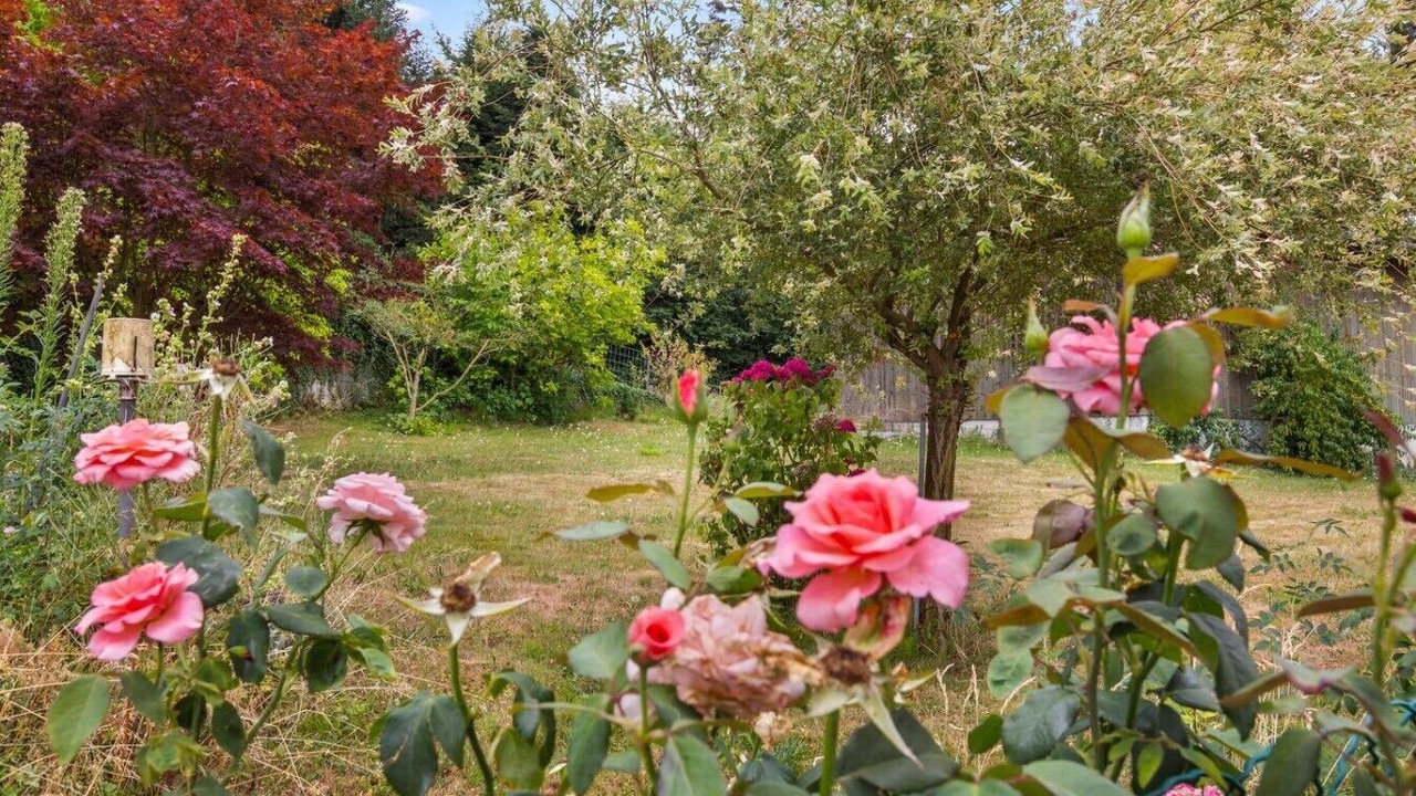 Photo of Outdoor in Cudrefin