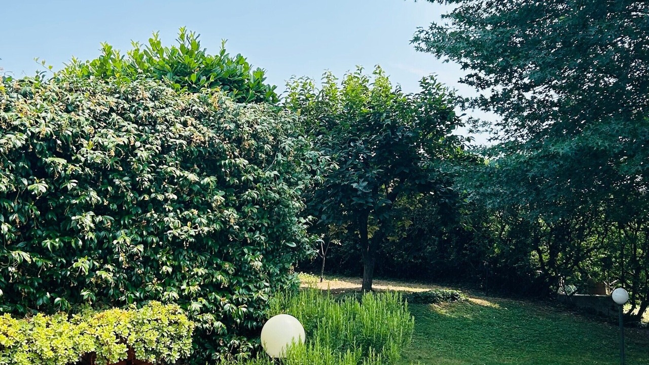 Photo of Outdoor in Pavia
