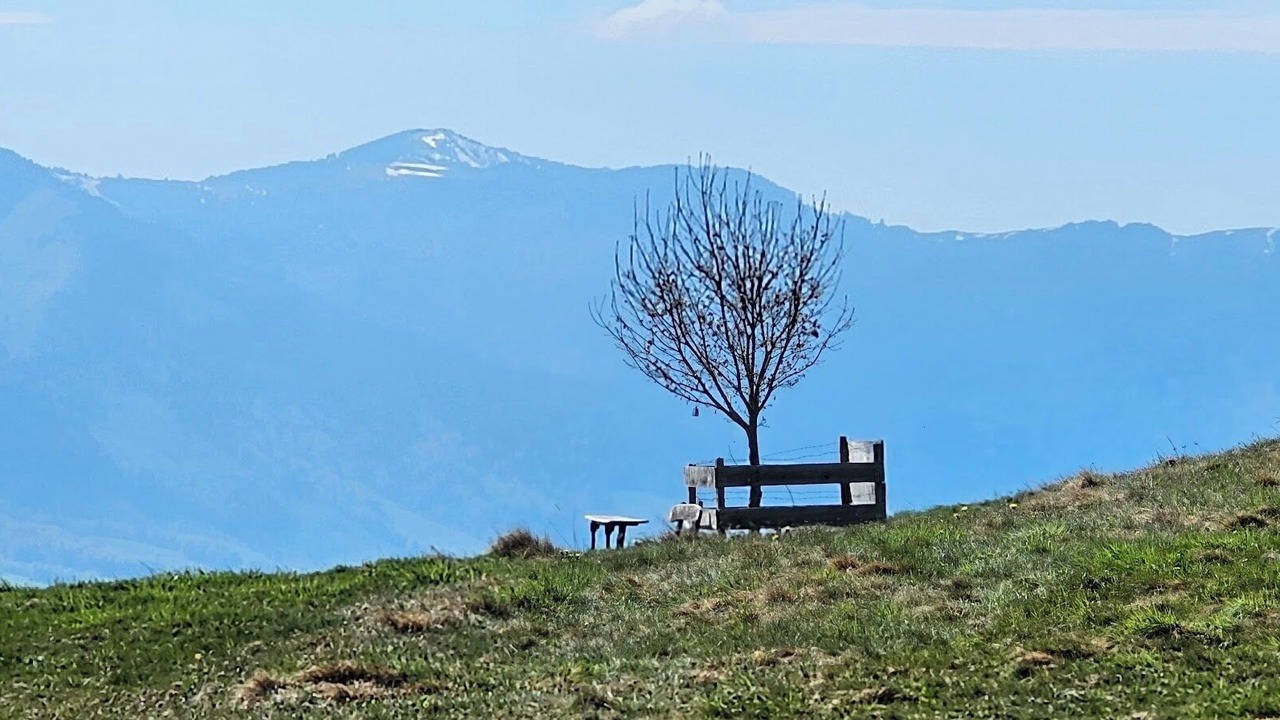 Photo of Others in Goldiwil