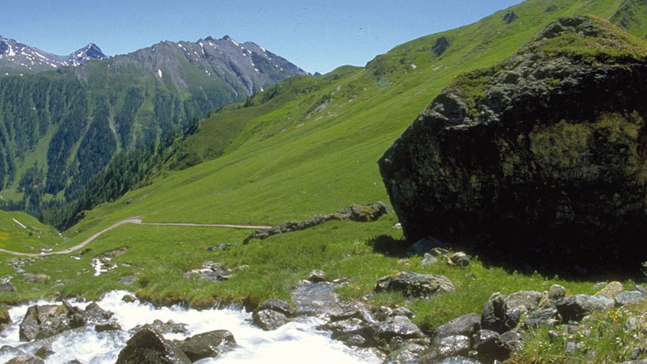 Photo of Others in Ravaisch