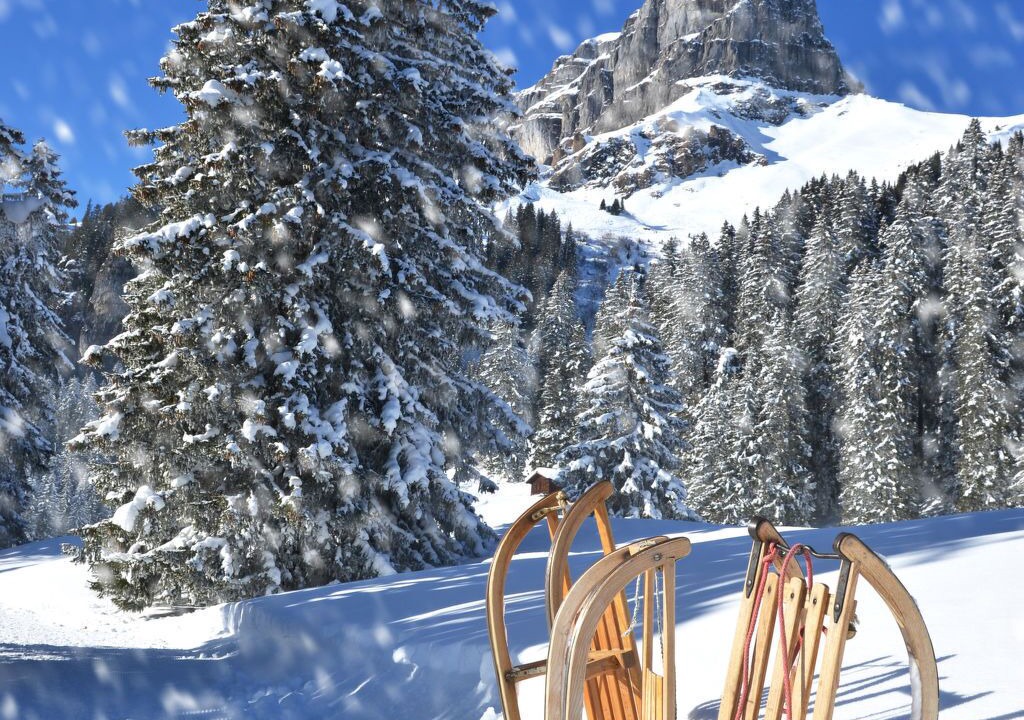 Photo of Others in Davos