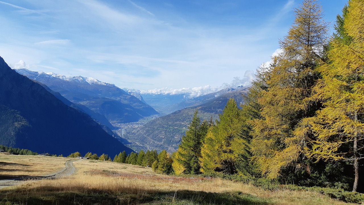 Photo of Others in Fiesch