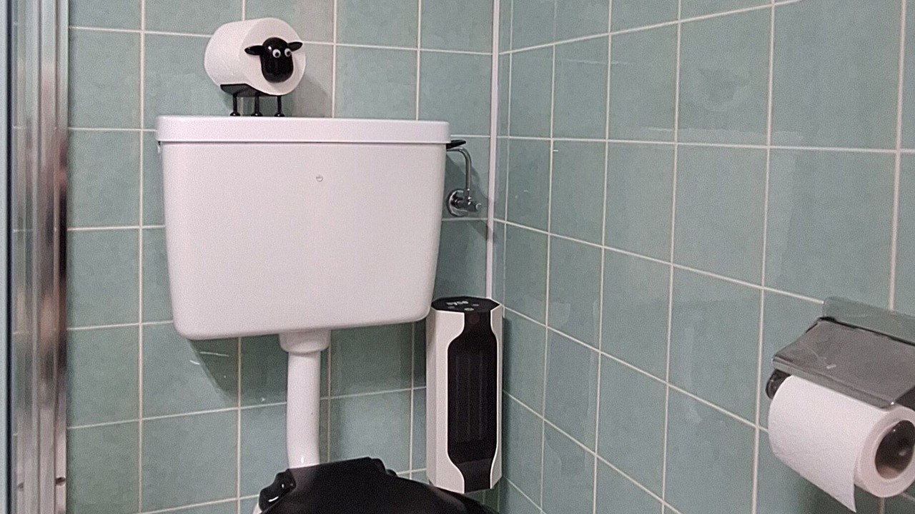 Photo of Bathroom in Fiesch