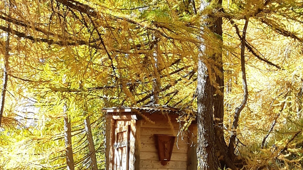 Photo of Others in Fiesch