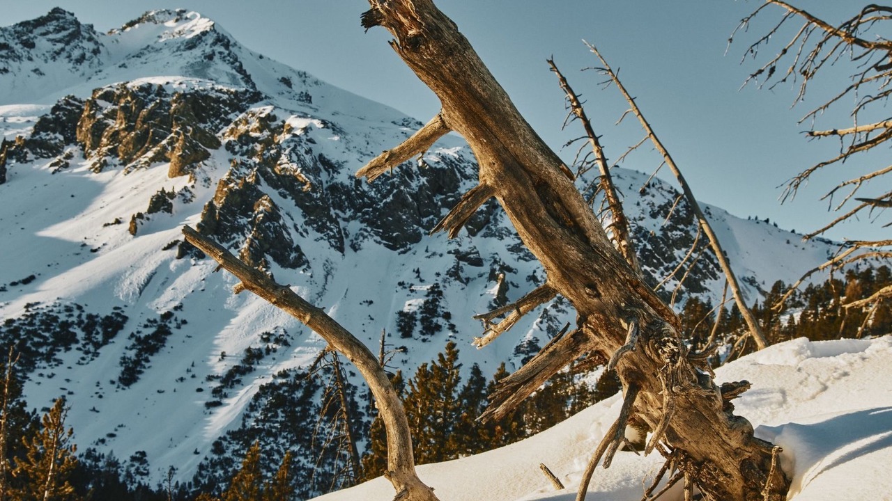 Photo of Others in Zernez
