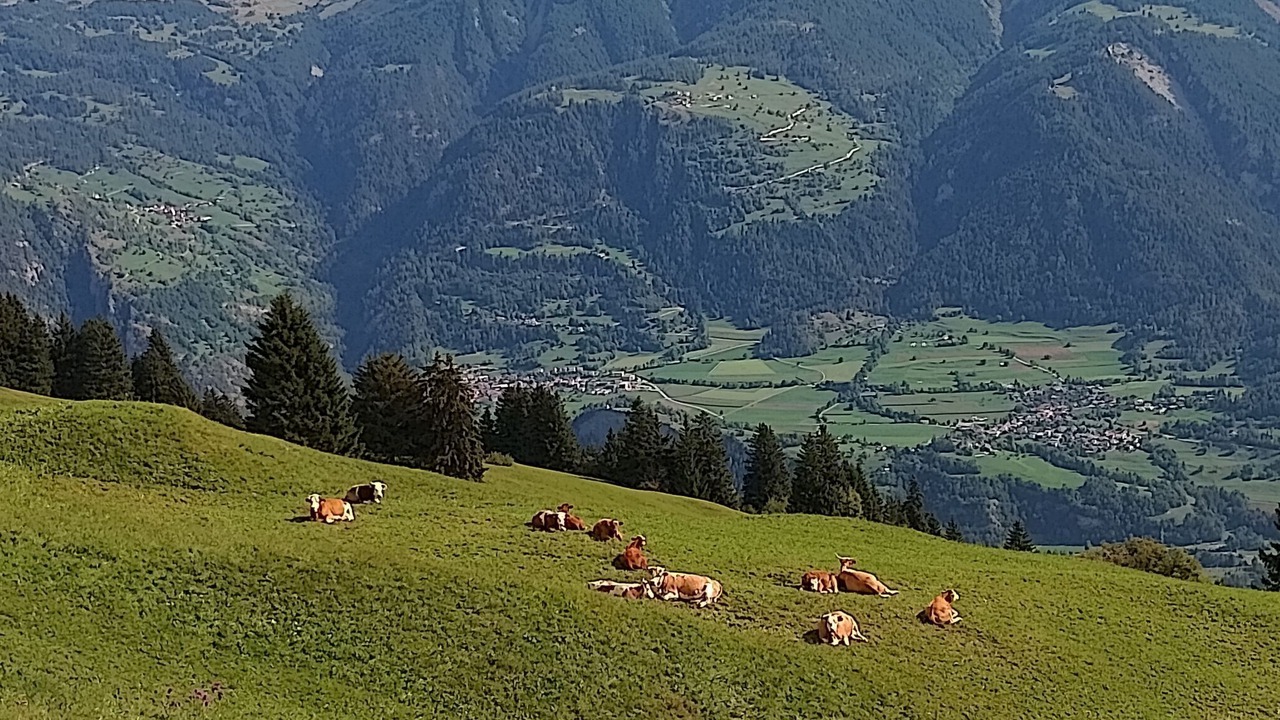 Photo of Others in Cazis