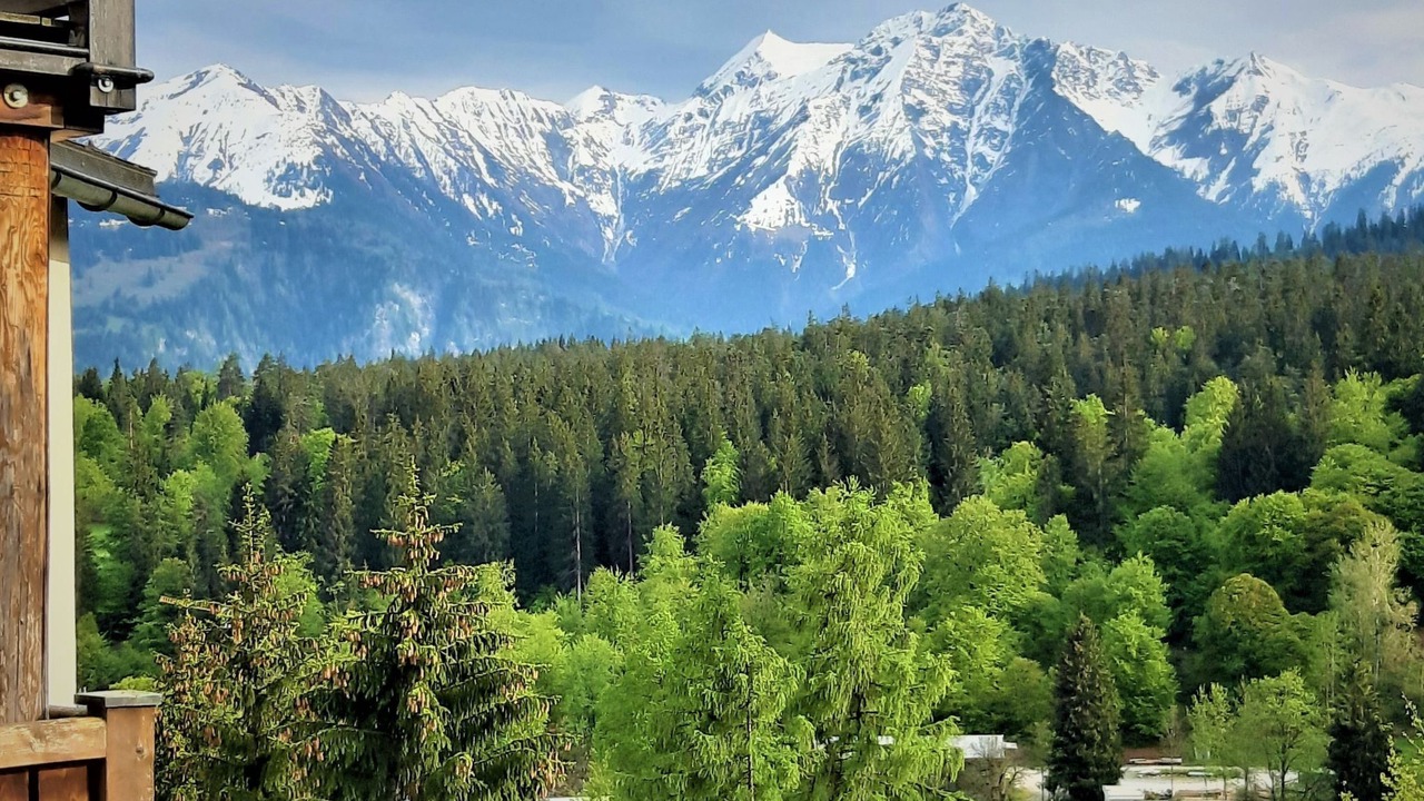Photo of Others in Flims