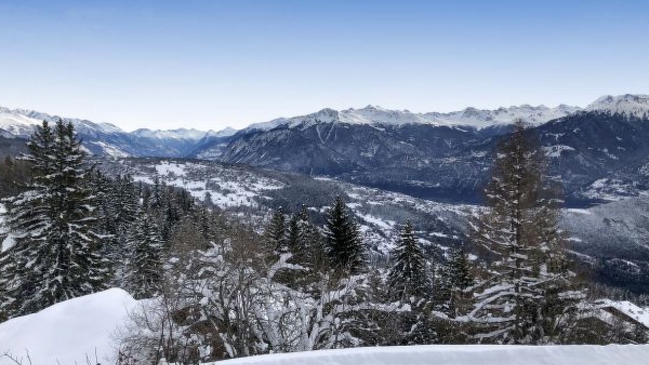 Photo of Others in Monteiller