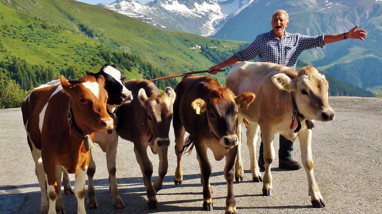 Photo of Others in Segnas