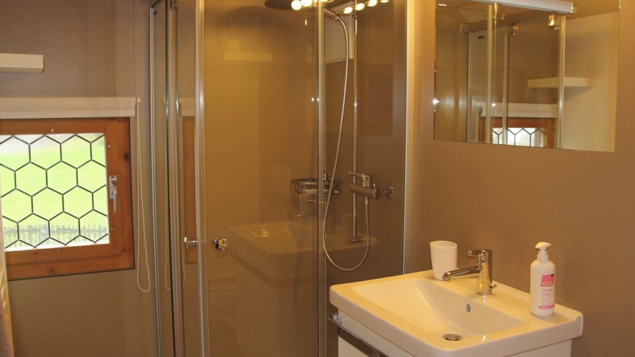 Photo of Bathroom in Sedrun