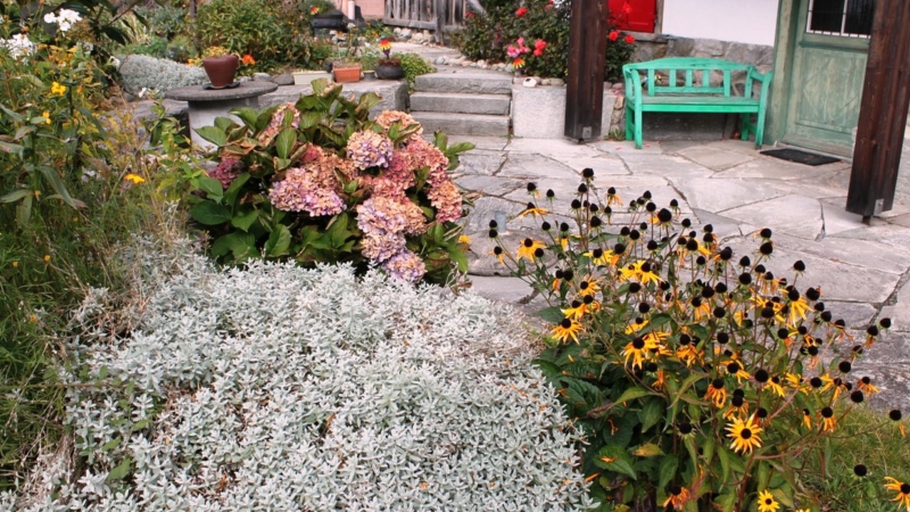 Photo of Outdoor in Disentis