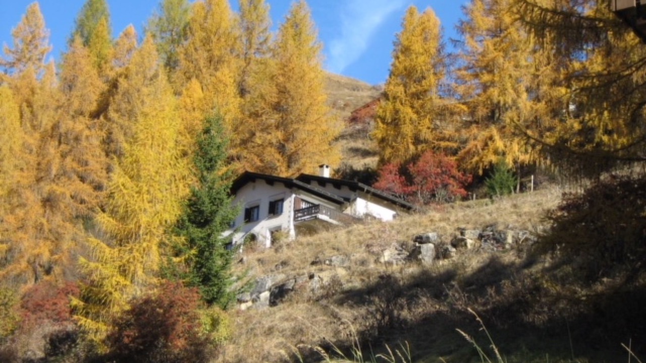 Photo of Outdoor in Berguen