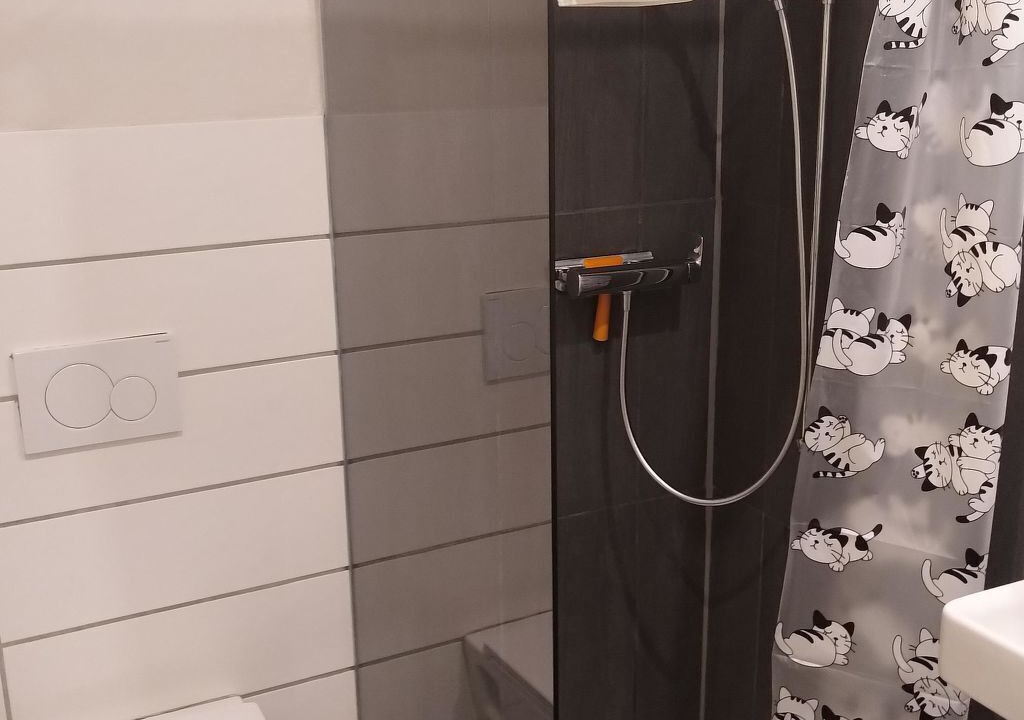 Photo of Bathroom in Praz