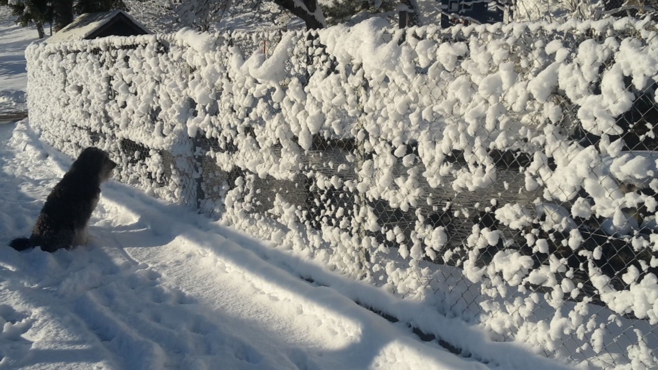 Photo of Others in Praz