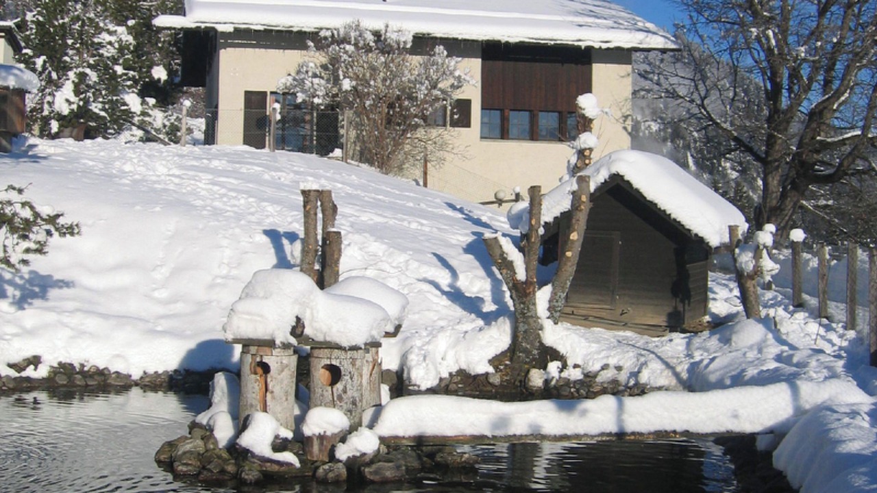 Photo of Others in Praz