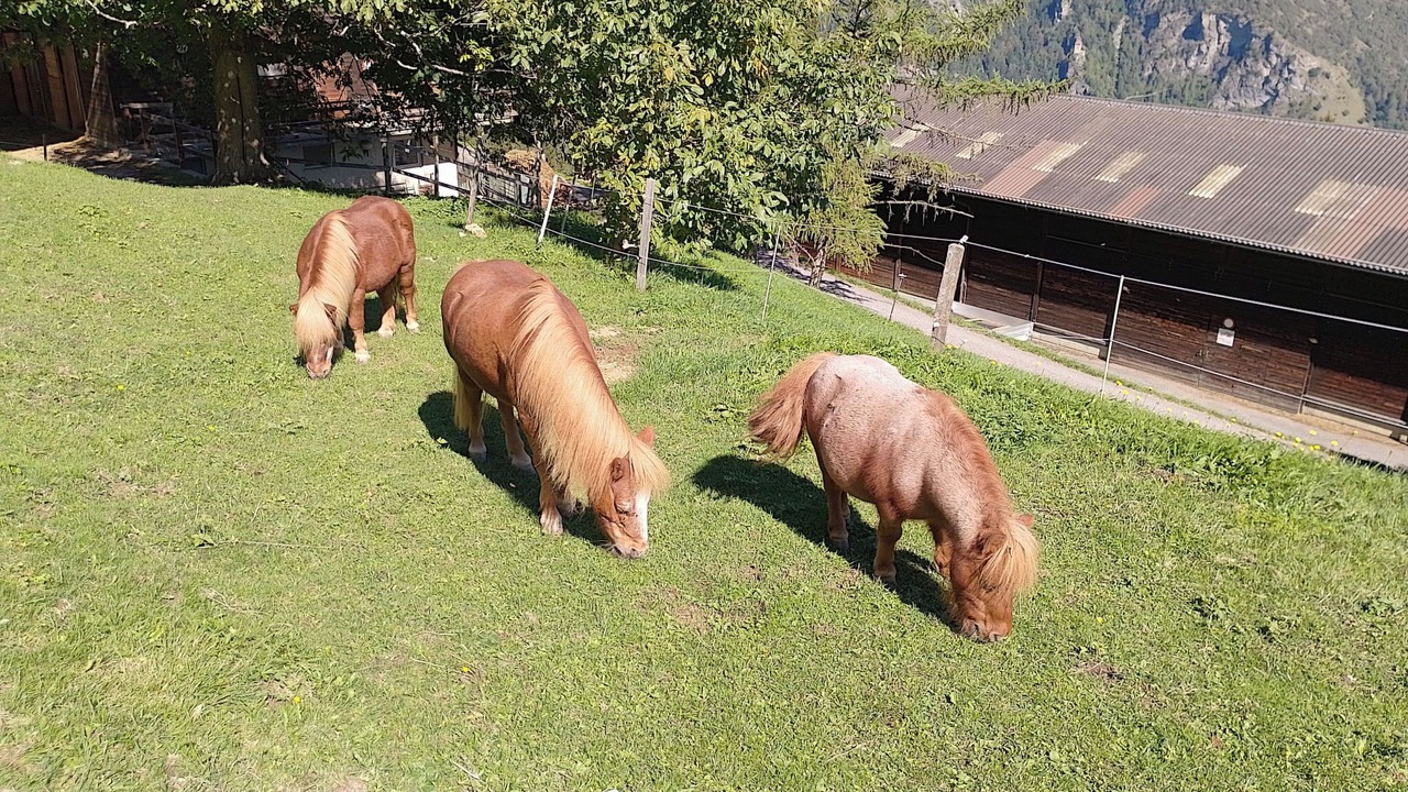 Photo of Others in Praz