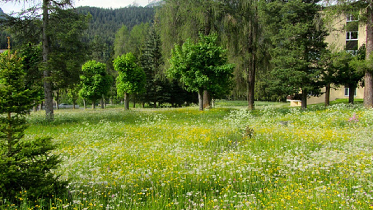 Photo of Others in Engadin Scoul