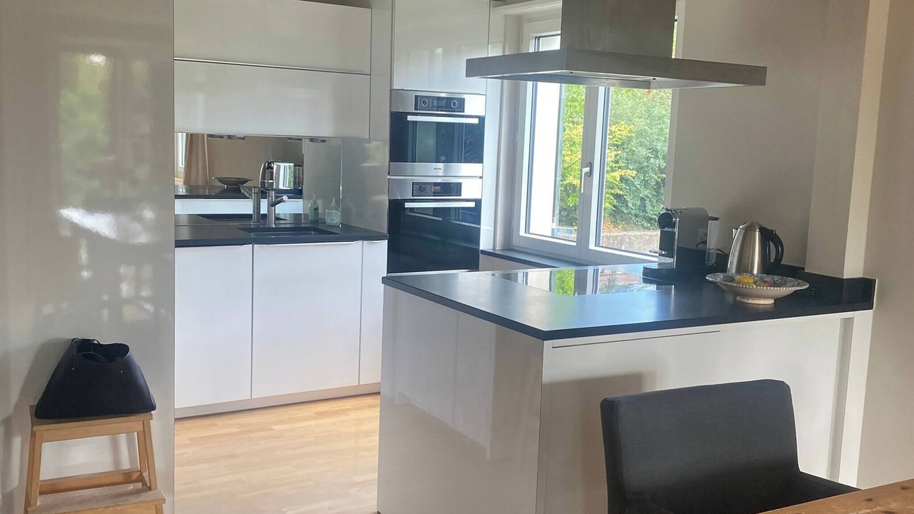 Photo of Kitchen in Meilen District
