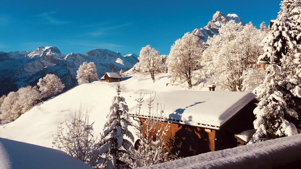 Photo of Others in Braunwald