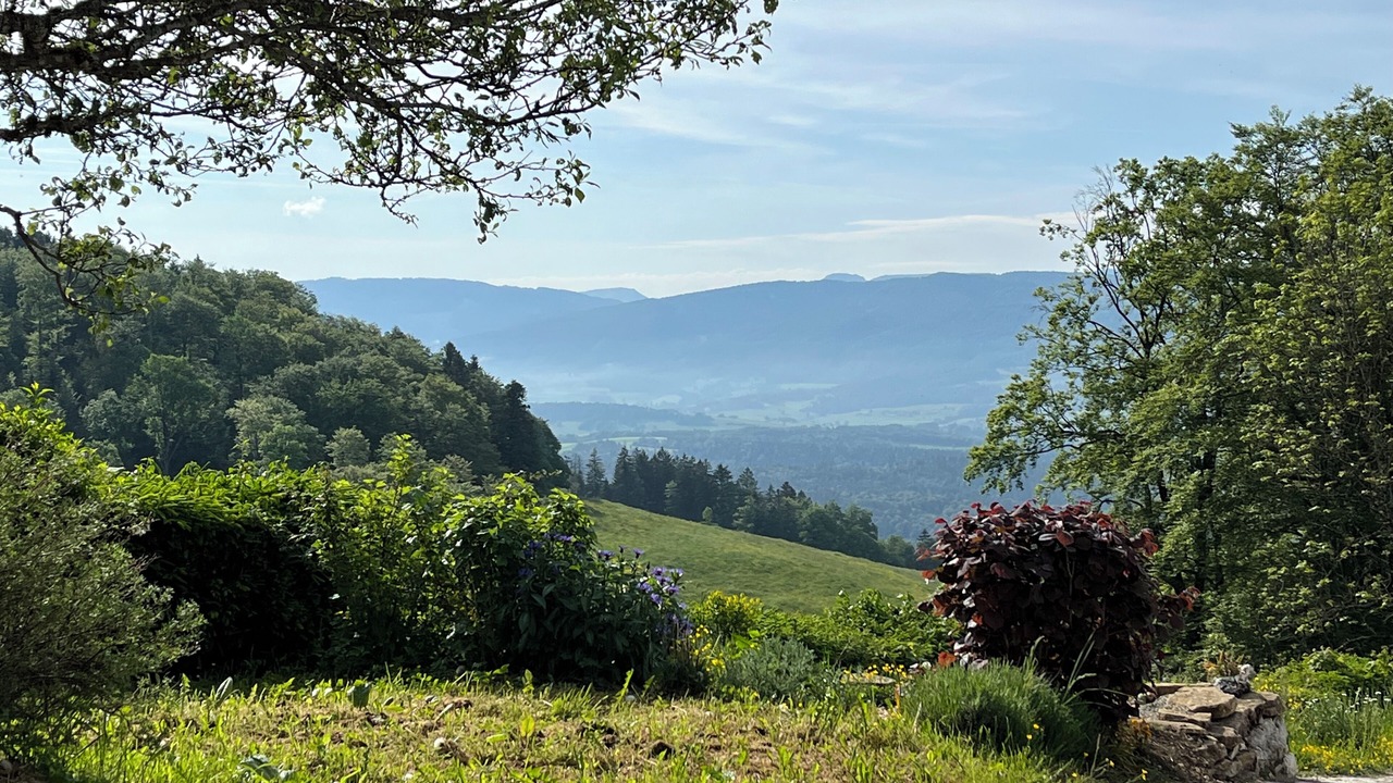 Photo of Outdoor in Pleujouse