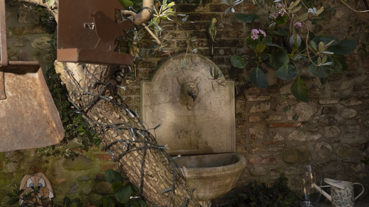 Photo of Outdoor in Somma Lombardo