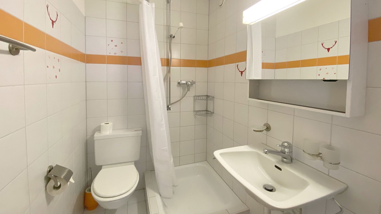 Photo of Bathroom in Parpan