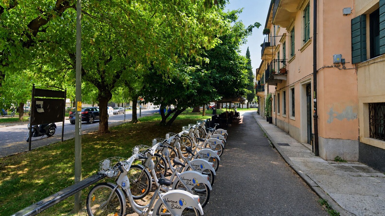 Photo of Outdoor in San Zeno